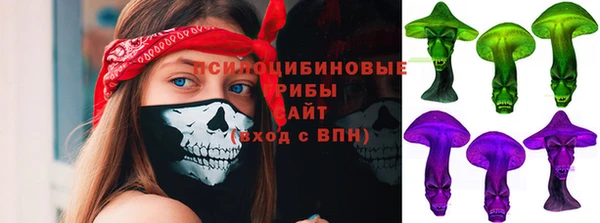 дмт Пестово