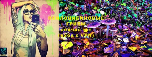 гашик Волоколамск