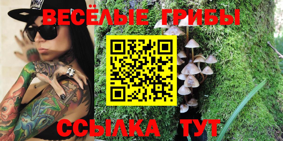 Псилоцибиновые грибы мухоморы Старый Оскол