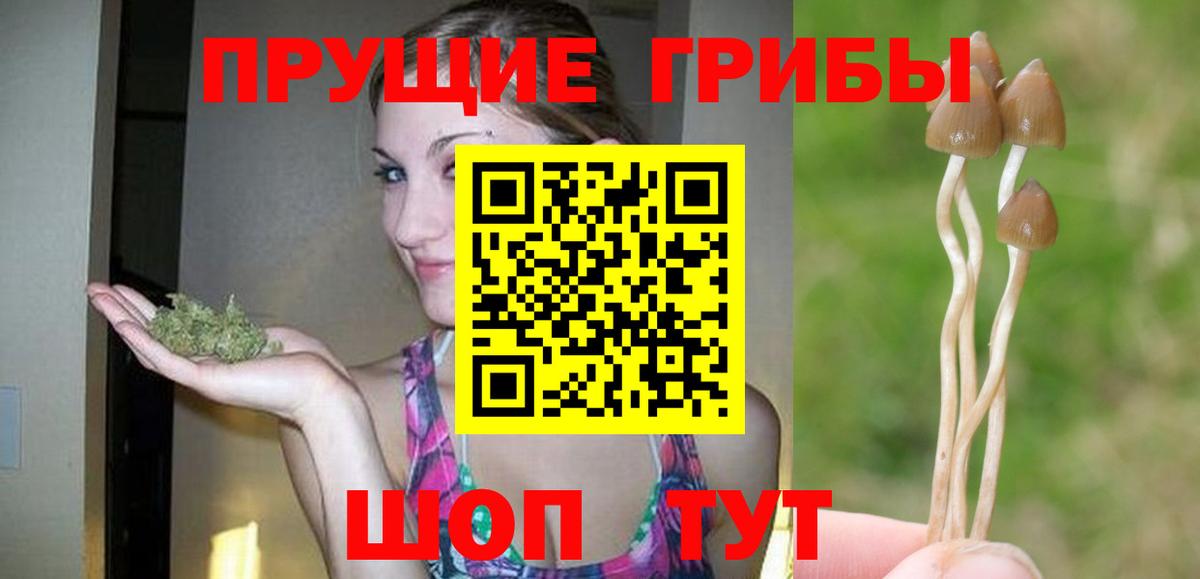 Галлюциногенные грибы Psilocybe  хочу наркоту  Старый Оскол  Галлюциногенные грибы MAGIC MUSHROOMS 