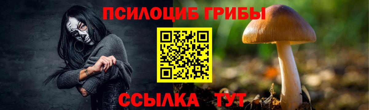 Старый Оскол  купить  сайты  Вход с VPN  Псилоцибиновые грибы Psilocybe 
